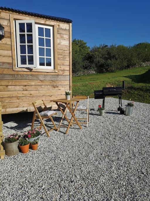 Elvan Farm Shepherd'S Hut Villa Exeter Dış mekan fotoğraf