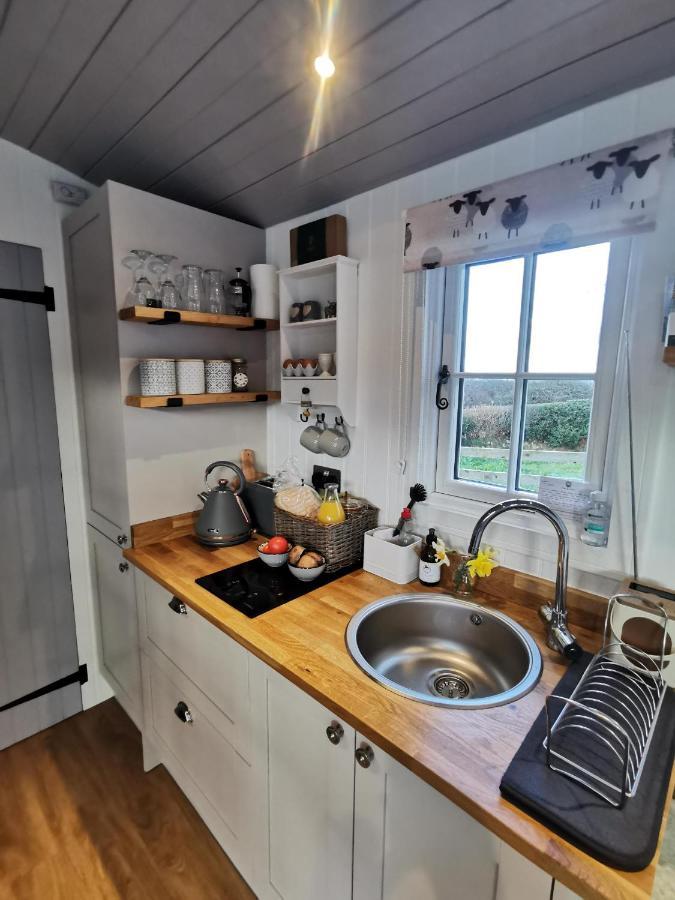 Elvan Farm Shepherd'S Hut Villa Exeter Dış mekan fotoğraf