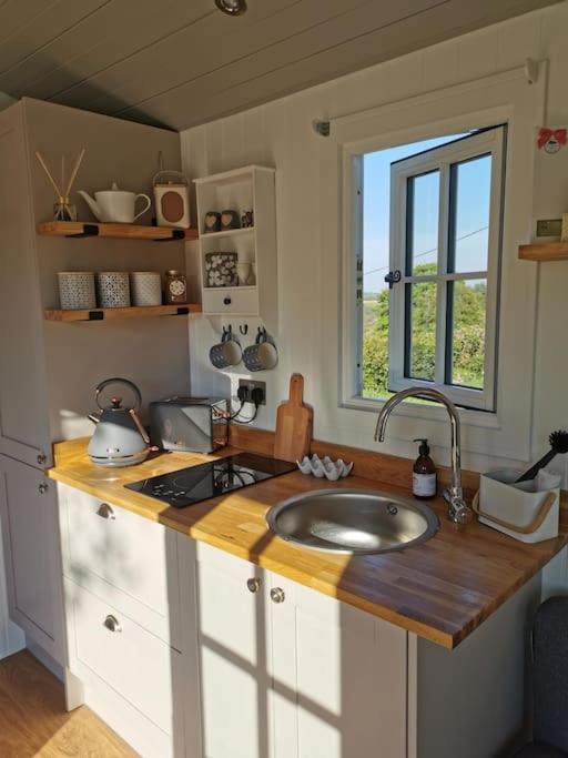 Elvan Farm Shepherd'S Hut Villa Exeter Dış mekan fotoğraf