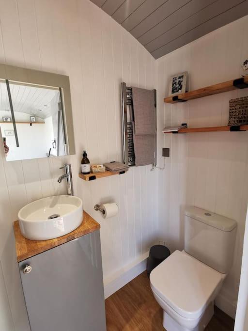 Elvan Farm Shepherd'S Hut Villa Exeter Dış mekan fotoğraf