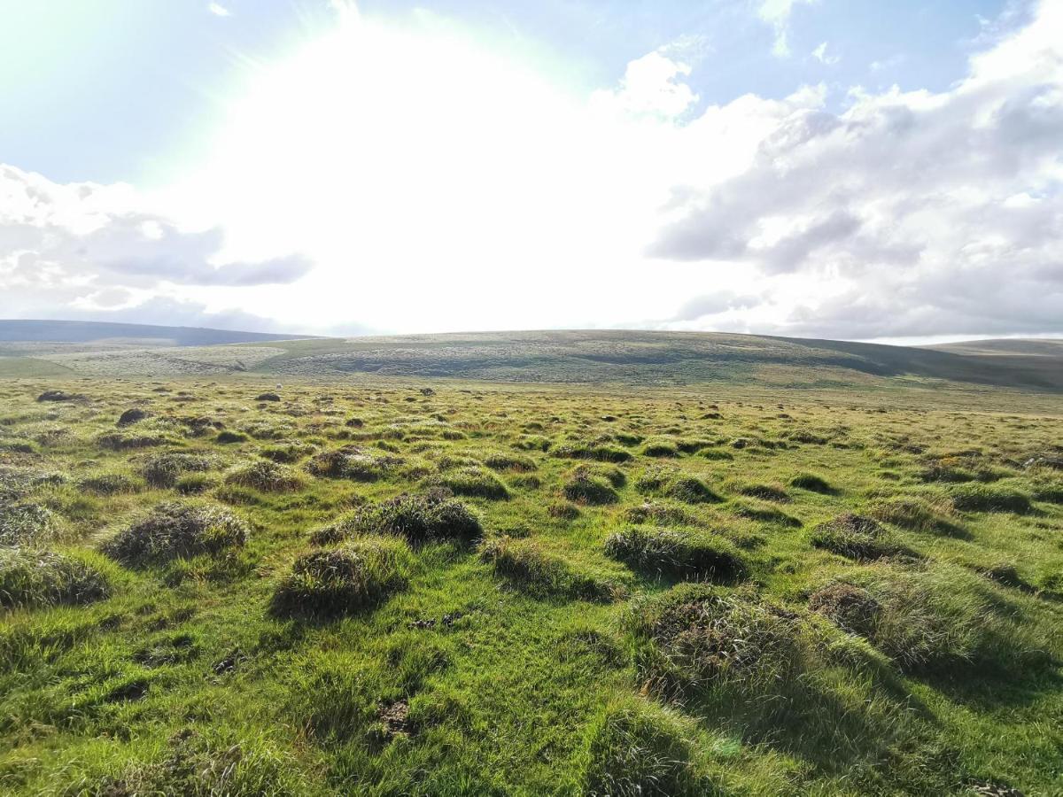 Elvan Farm Shepherd'S Hut Villa Exeter Dış mekan fotoğraf